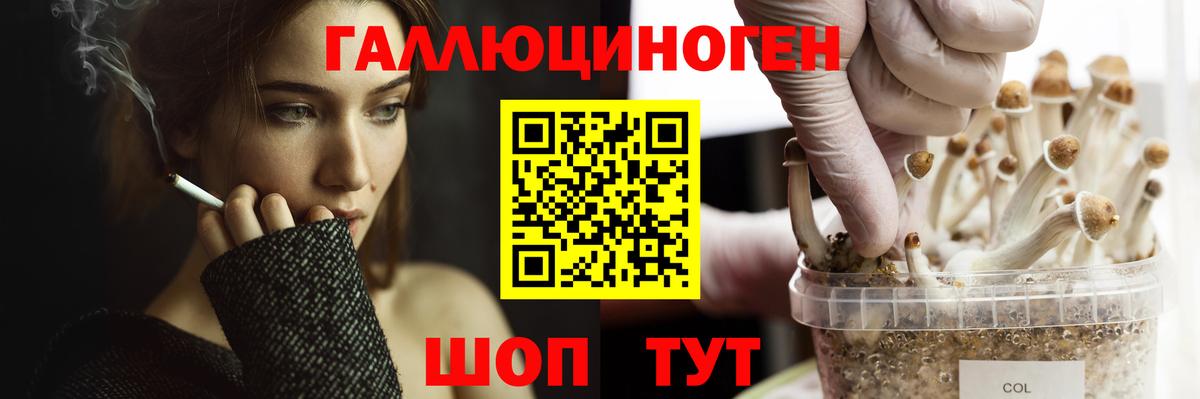 Анапа  хочу наркоту  Вход с VPN  Галлюциногенные грибы Cubensis 